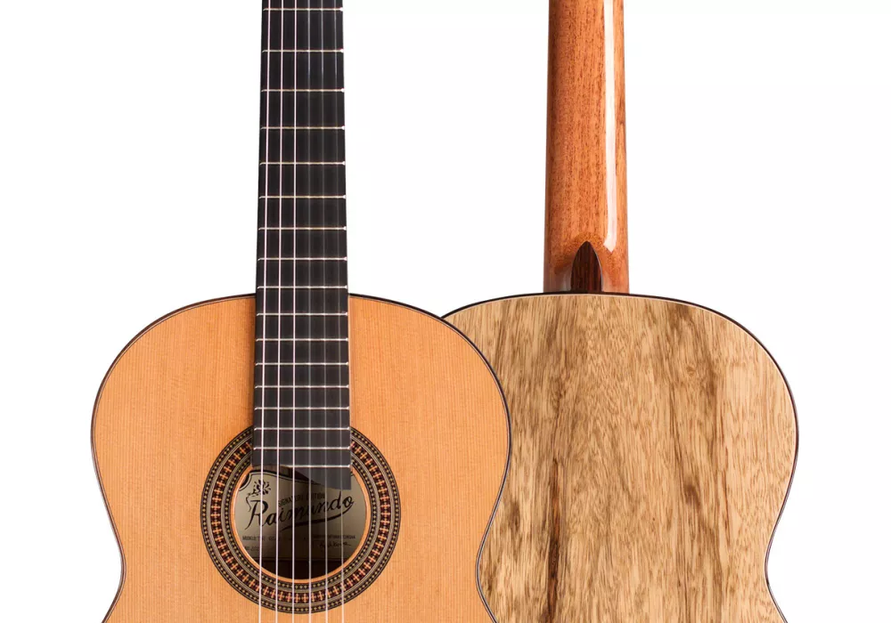 Raimundo tatyana store ryzhkova classical guitar