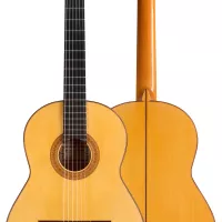 2020 Francisco Barba SP/CY Guitar | GSI