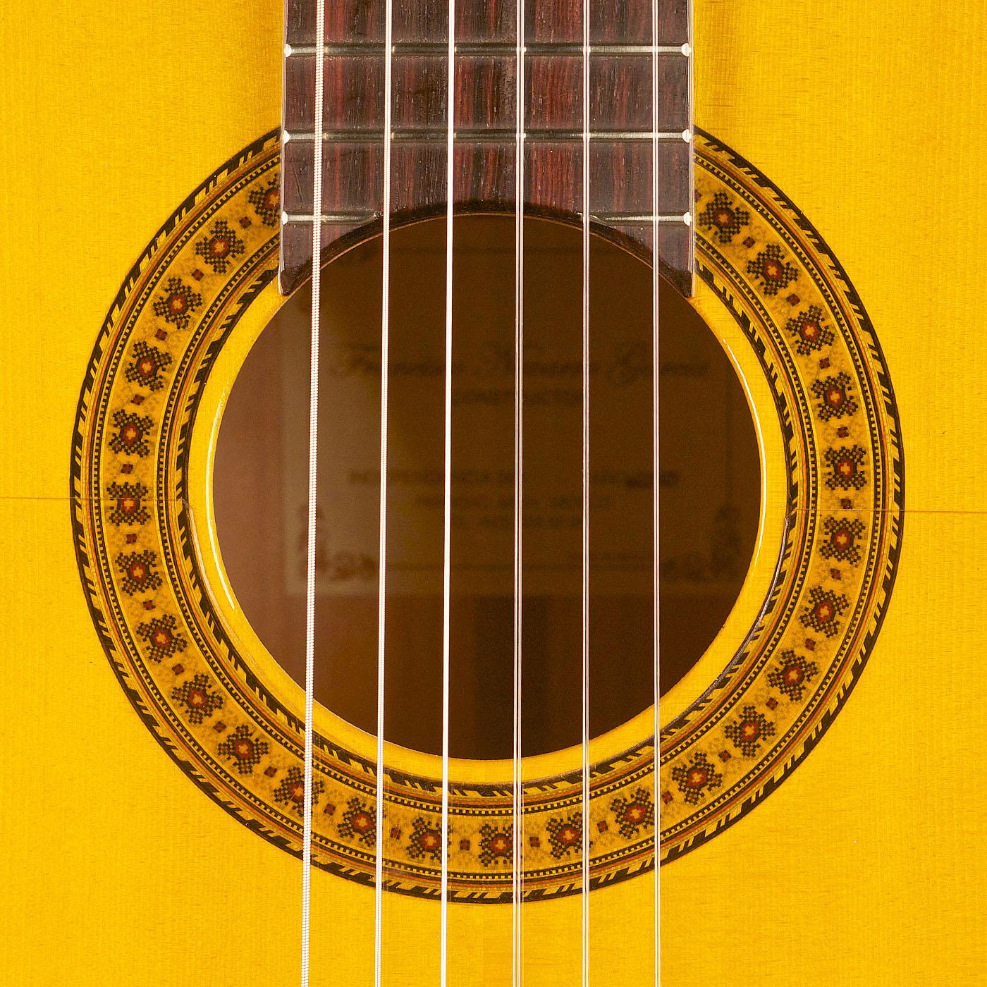 francisco navarro student flamenco guitar